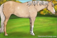 Horse Color:Silver Classic Champagne 