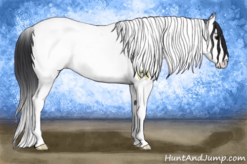 Horse Color:Black Ice Splash Tobiano Snowcap 
