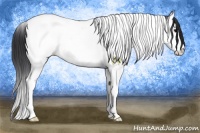 Horse Color:Black Ice Splash Tobiano Snowcap 