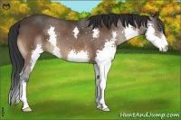 Horse Color:Brown Splash