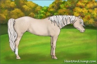 Horse Color:Silver Buckskin Pearl 