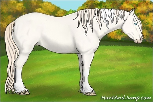 Horse Color:Perlino Dun Tobiano