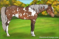 Horse Color:White Spotted Silver Brown Varnish 