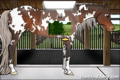 Horse Color:White Spotted Silver Brown Varnish