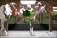 Horse Color:White Spotted Silver Brown Varnish 