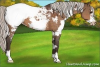 Horse Color:White Spotted Silver Brown Frame Snowcap