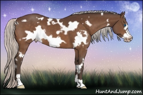 Horse Color:White Spotted Silver Bay Frame Varnish