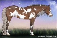 Horse Color:White Spotted Silver Bay Frame Varnish