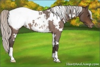 Horse Color:White Spotted Silver Brown Roan Snowcap