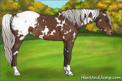 Horse Color:White Spotted Silver Brown Varnish 