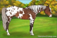 Horse Color:White Spotted Silver Brown Varnish 