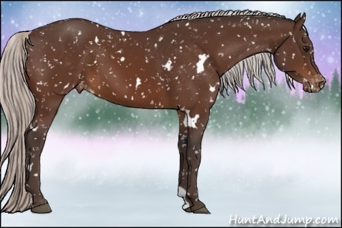 Horse Color:White Spotted Silver Bay Snowflake Varnish 