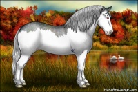 Horse Color:Silver Black Chinchilla Sabino Splash