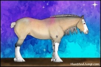 Horse Color:Silver Bay Chinchilla Roan Sabino Splash