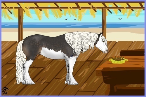 Horse Color:Liver Chestnut Splash 