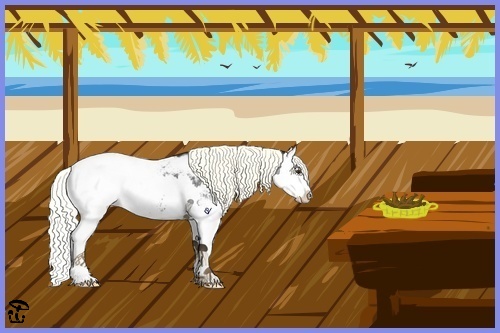 Horse Color:Liver Red Roan Splash Appaloosa 