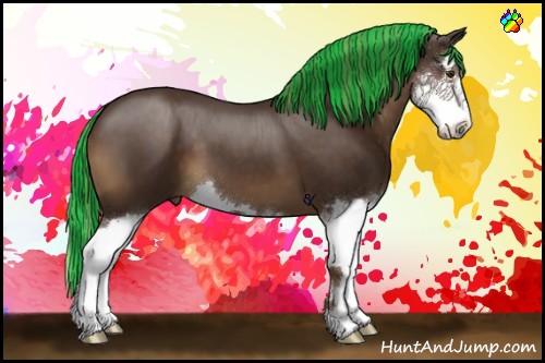 Horse Color:Painted Liver Chestnut Sabino Splash 