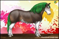 Horse Color:Painted Liver Chestnut Sabino Splash 