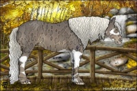 Horse Color:Liver Chestnut Ice Splash 