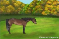 Horse Color:Brown 