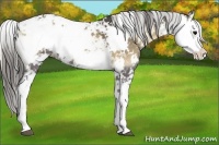 Horse Color:Smoky Blue Onyx Sabino