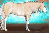 Horse Color:White Spotted Silver Buckskin Pearl Sabino Rabicano