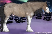 Horse Color:Brown Dun Sabino