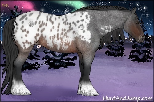 Horse Color:Brown Roan Near Leopard Rabicano 