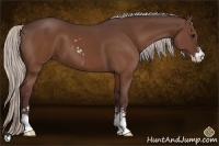 Horse Color:Chocolate Silver Brown Sabino