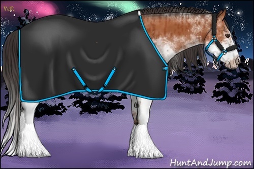 Horse Color:White Spotted Bay Splash  and White Spotted Bay Splash Frame 