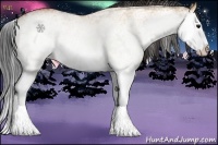 Horse Color:White Spotted Bay Dun Splash 