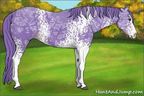 Horse Color:Watercolor White Spotted Liver Chestnut Ice Sabino 