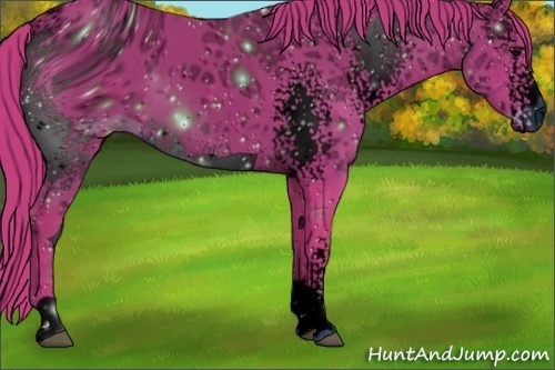 Horse Color:ERROR: UNKNOWN ANOMALY