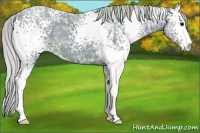 Horse Color:Watercolor White Spotted Silver Black Ice Sabino 