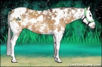 Horse Color:Brown Dun Sabino Splash 