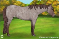 Horse Color:Chocolate Grullo Roan Varnish 