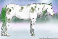 Horse Color:Watercolor Bay Splash Tobiano Appaloosa