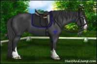 Horse Color:Smoky Black Sabino