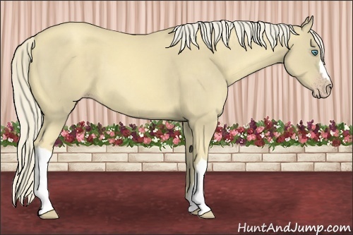 Horse Color:Gold Cream Champagne Mushroom 