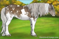 Horse Color:White Spotted Silver Brown Splash 