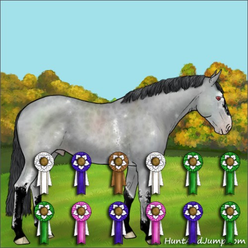 Horse Color:White Spotted Classic Champagne Chinchilla Sabino 