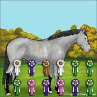 Horse Color:White Spotted Classic Champagne Chinchilla Sabino 