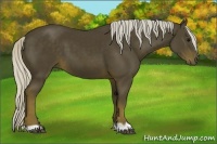 Horse Color:Silver Smoky Black