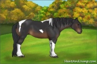 Horse Color:Brown Tobiano 