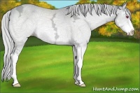 Horse Color:Silver Sable Champagne Chinchilla Ice Sabino 