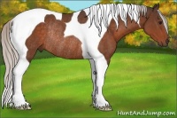 Horse Color:Silver Brown Tobiano Rabicano