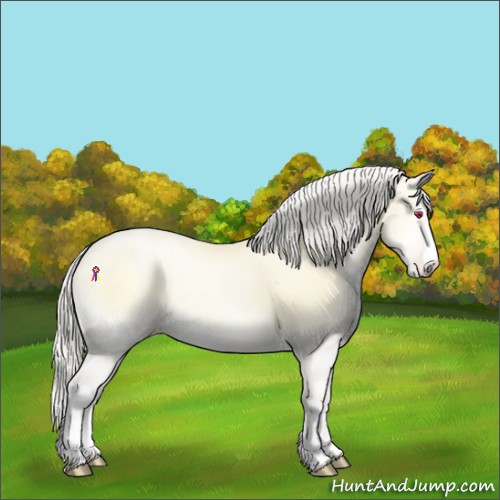Horse Color:Silver Buckskin Chinchilla Pearl Onyx Rabicano Brindle