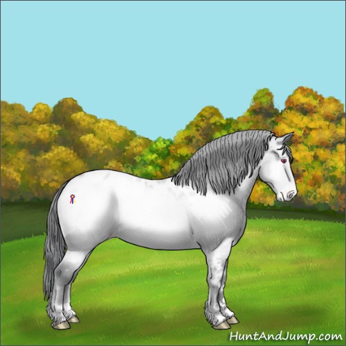 Horse Color:Sable Champagne Chinchilla Onyx Sabino Blanket Brindle