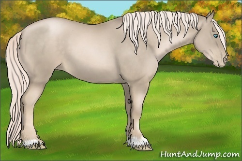 Horse Color:Chocolate Palomino Pearl 