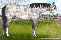 Horse Color:Brown Ice Roan Splash Frame 